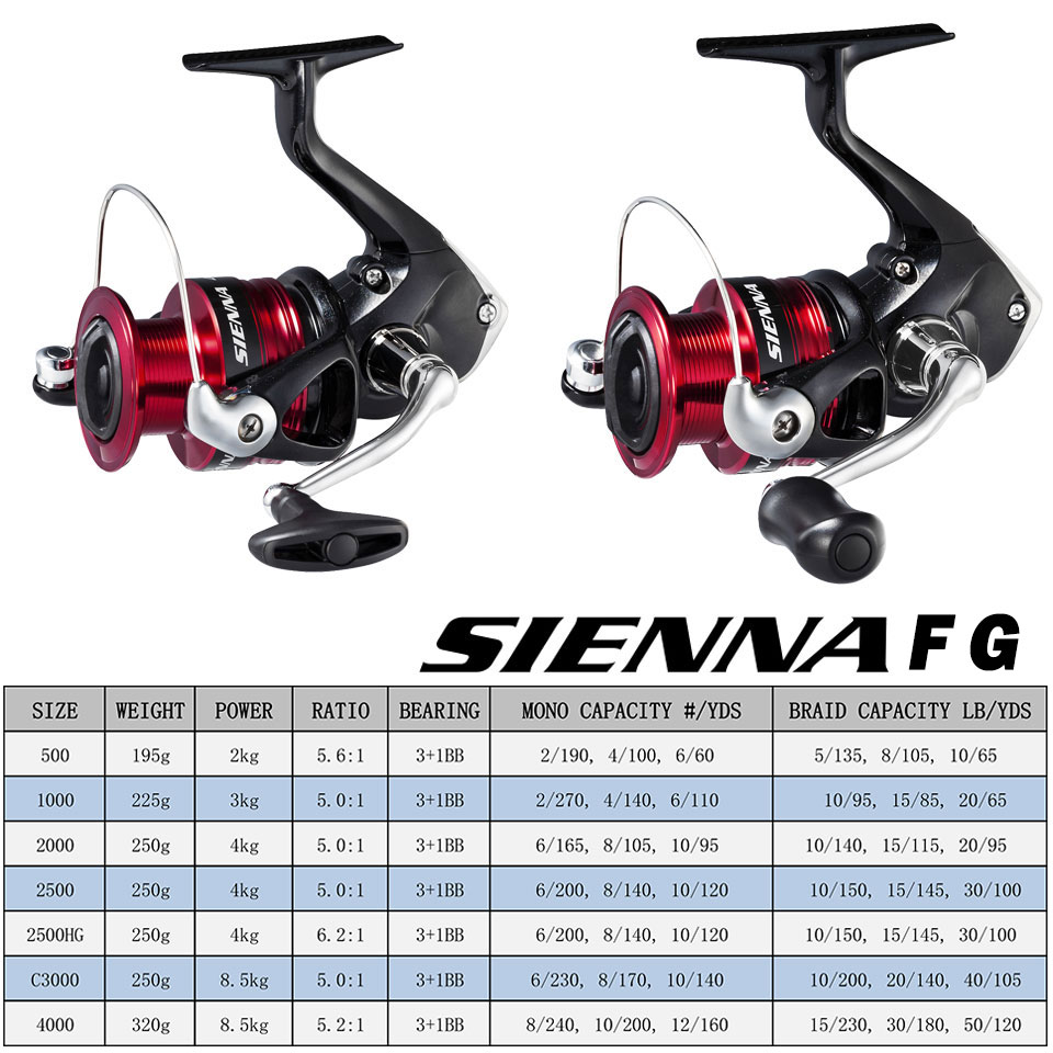 بكرة صيد دوارة من SHIMANO SIEN - مراجعة Daiwa Reel Bg وسعره